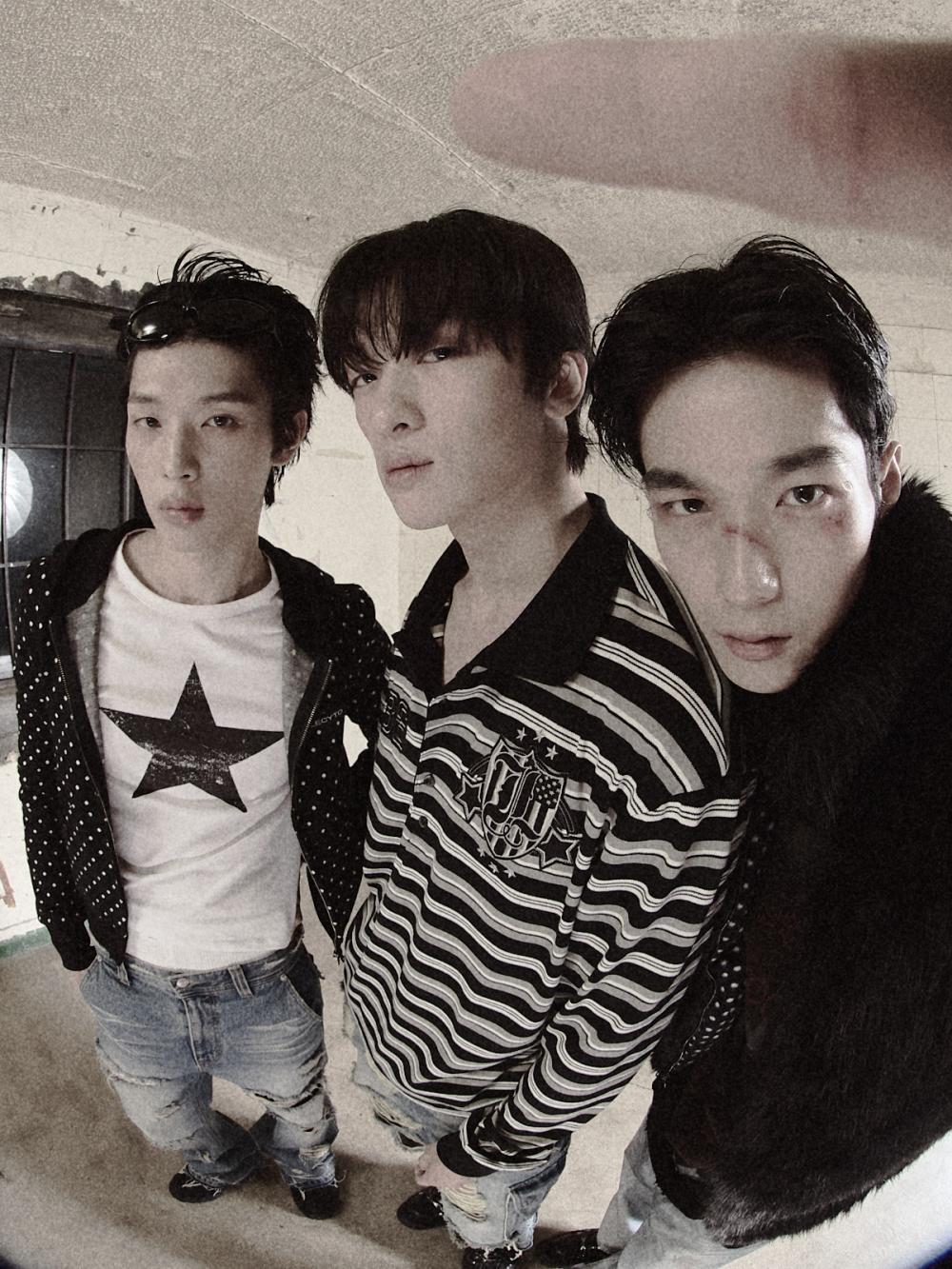 86 ラグビー ストライプ PK_[ブラック] | LECYTO | HANA(ハナ) #14